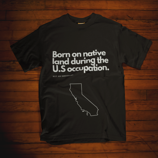 NOT AN IMMIGRANT T-Shirt